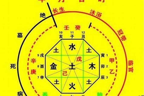 喜神是火|八字喜用神是火 (喜用神为火是什么意思)